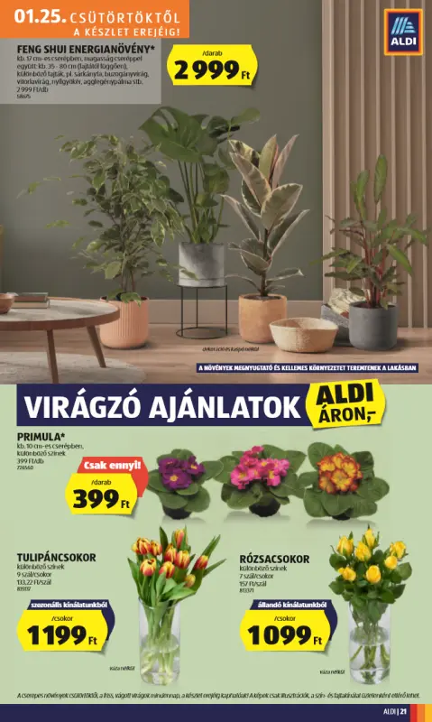 ALDI Akciós Újság 2024.01.25-től - 25 oldal